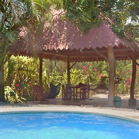 פקוארה Blue Jay Lodge מראה חיצוני תמונה