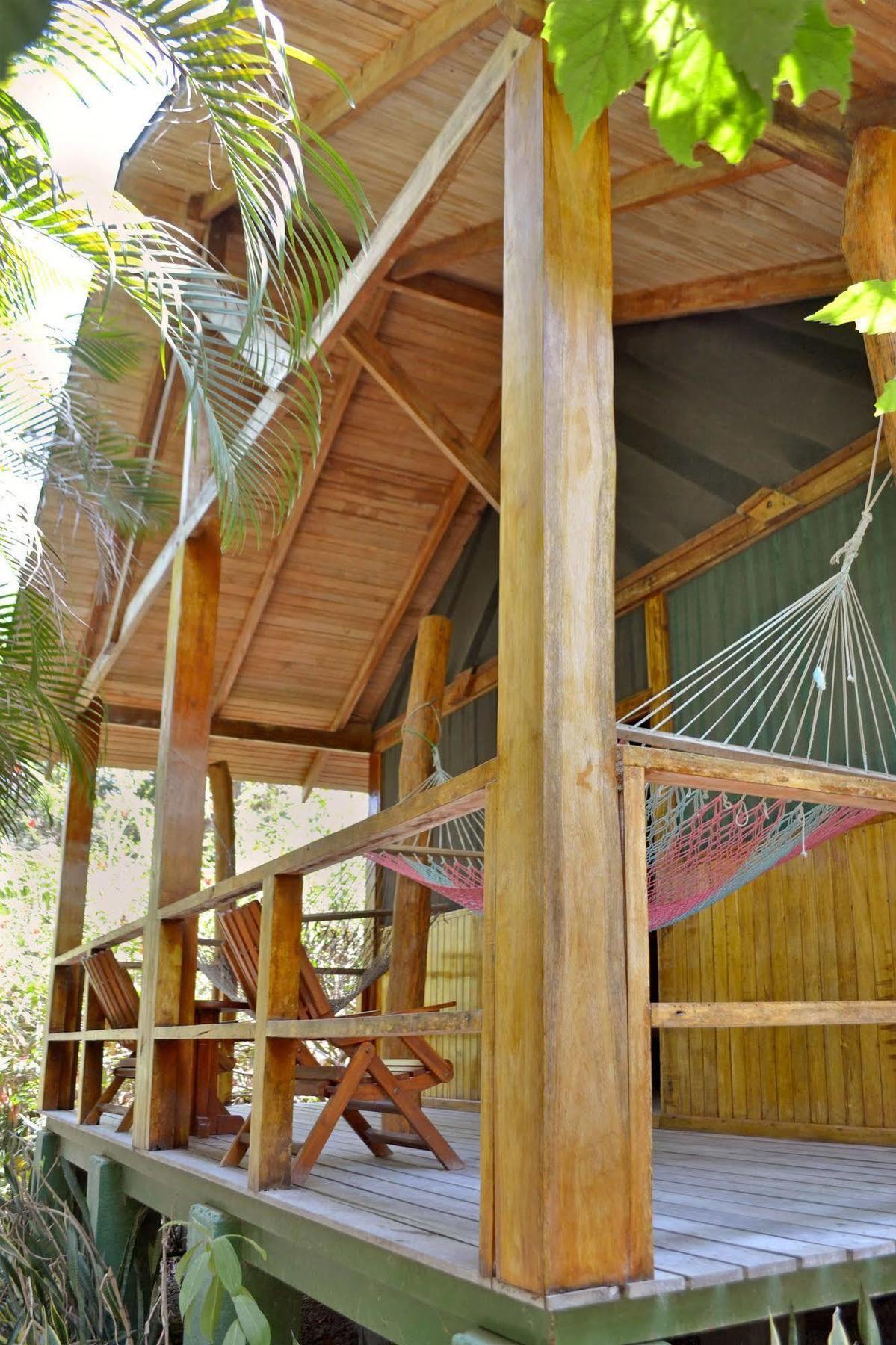 פקוארה Blue Jay Lodge מראה חיצוני תמונה