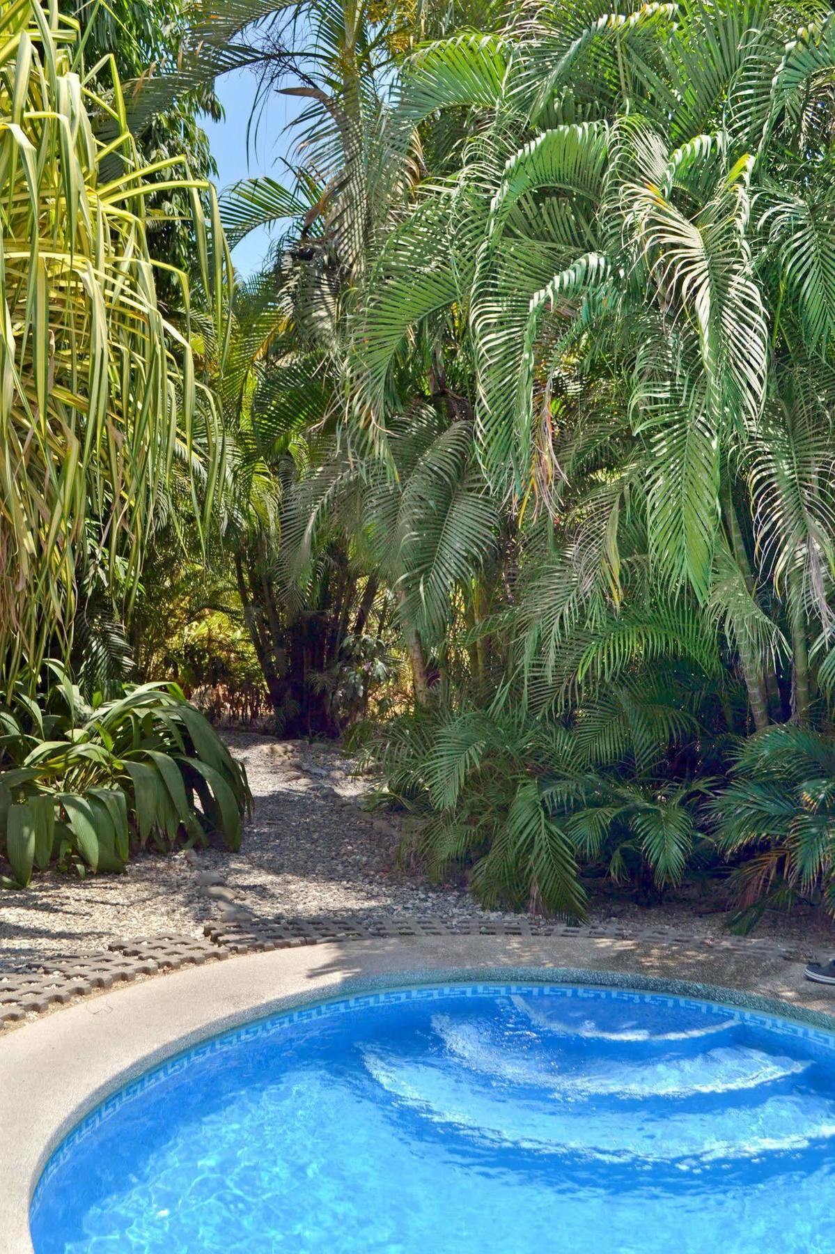 פקוארה Blue Jay Lodge מראה חיצוני תמונה