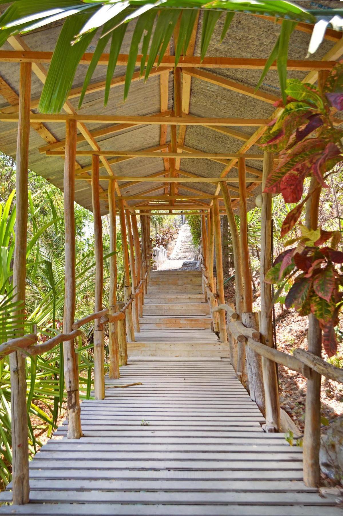 פקוארה Blue Jay Lodge מראה חיצוני תמונה