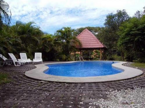 פקוארה Blue Jay Lodge מראה חיצוני תמונה