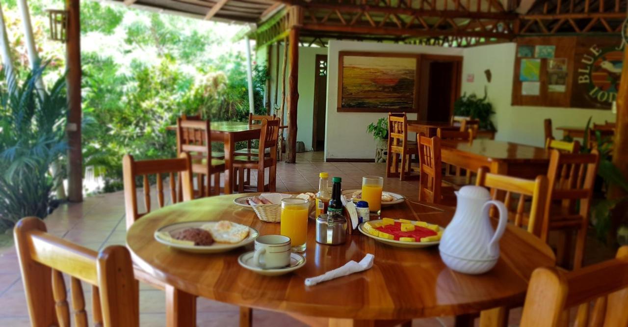 פקוארה Blue Jay Lodge מראה חיצוני תמונה
